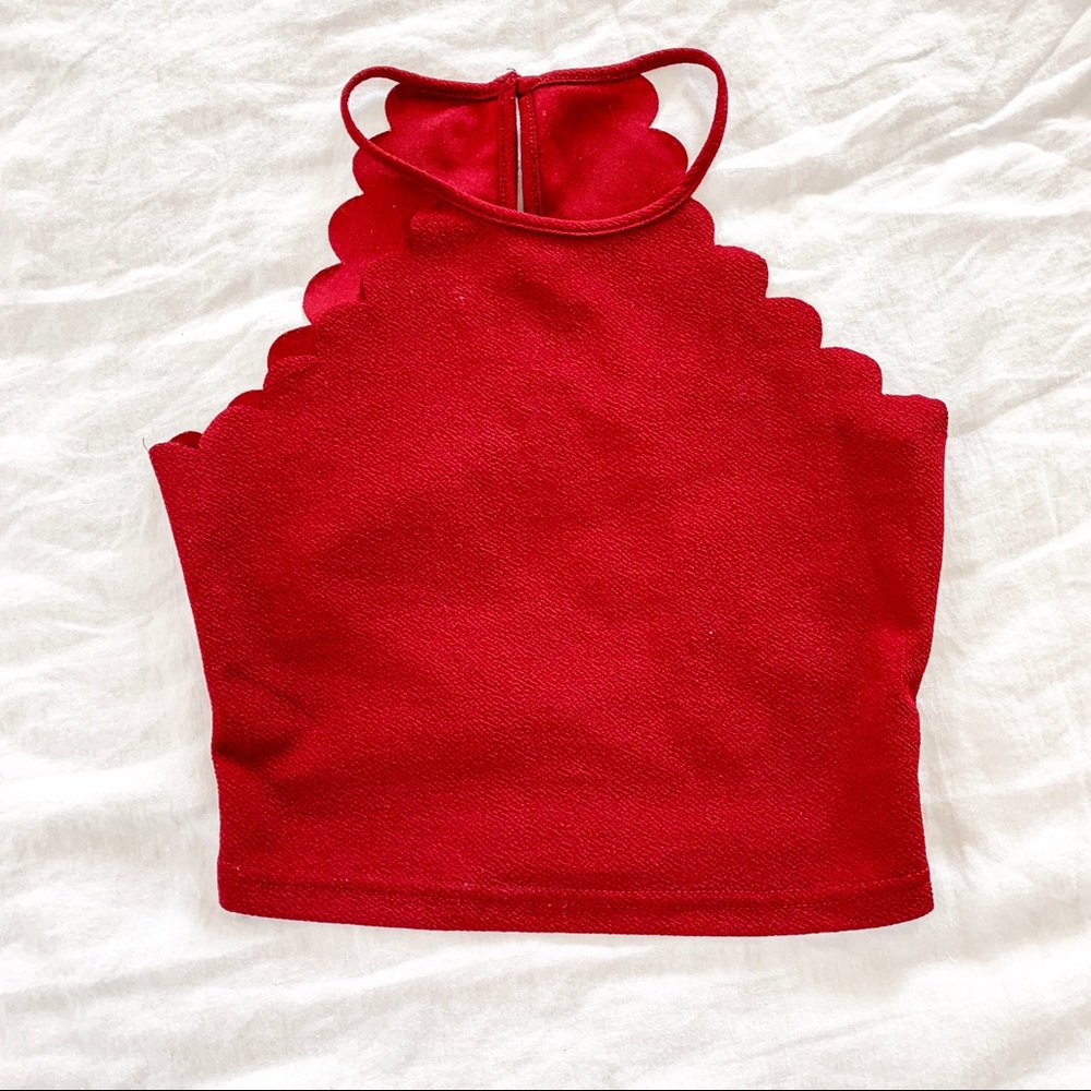 Tobi Maroon High Neck Crop Top